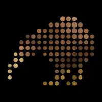 100dots Kiwi - design