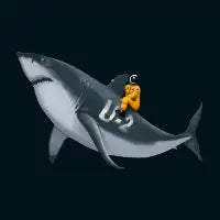 Pilot Flying Shark - design