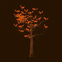Blazing Fox Tree - design