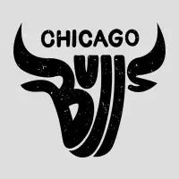 Bulls (Black) - design