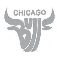 Bulls (Grey) - design