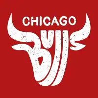 Bulls (White) - design