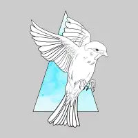 Free Falling - design