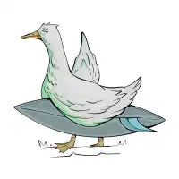 art 60 - design