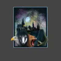 The Houses Magic Built - design