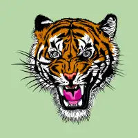 Tiger head - design