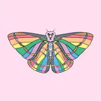 Pride Moth - design