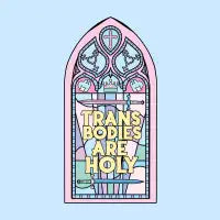 Trans Bodies - design