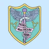 Trans Healthcare Now - design