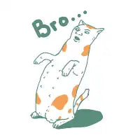 Cat bro... - design