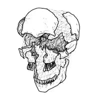 dynamical skull - design
