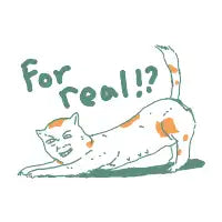For Real!? Cat Meme Reaction - design