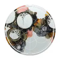Charlotte - design