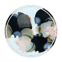 Pebble - design