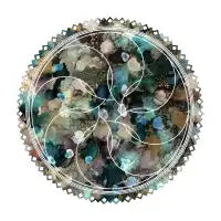Petal - design