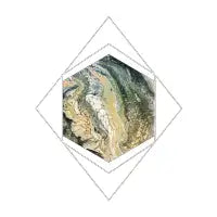 Reptilian - design