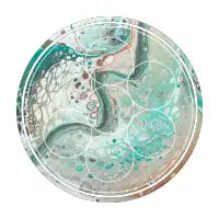 Tortuga - design