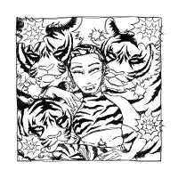 Tigers - design