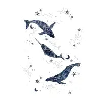 Whale constellations - design