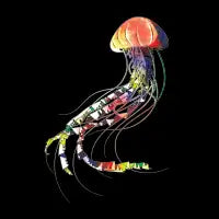 Rainbow jellyfish - design