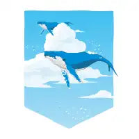 sky whale - design