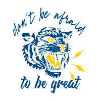 thunder tiger - design