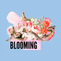 BLOOMING - design