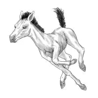 Pony Up - design