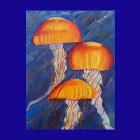 Jellyfish - design
