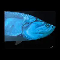 Tarpon - design