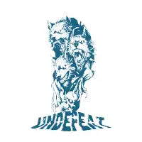 Undefeat - design