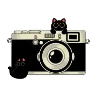 Analog Cat Club - design