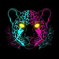 Cyber Leopard - design