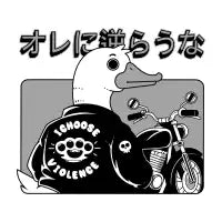 Dont Mess With Me - design