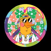 Hippie Duck - design