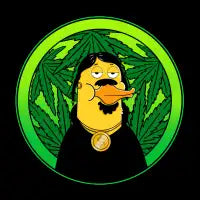 Snoop Duck - design