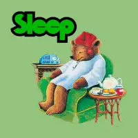 Sleepy Bear - design
