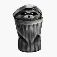 Trash panda - design