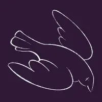 Birdwitching Logo - design