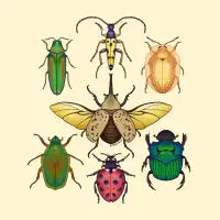 Beetle Brigade - design