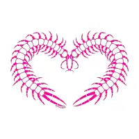 Centipede Heart (Pink) - design