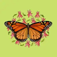 Monarch Butterfly - Milkweed - design