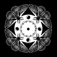 Moon Moths - design