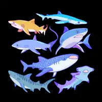 Shark Shiver - design