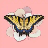 Tiger Swallowtail Butterfly - Magnolia - design