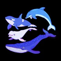 Whale and Dolphin Pod - design