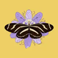 Zebra Longwing Butterfly - Passionflower - design