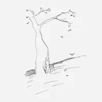 Autumn Tree - design