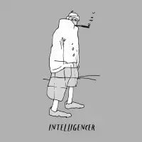 Intelligencer - design
