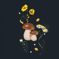 Sweet Magic Mushrooms - design